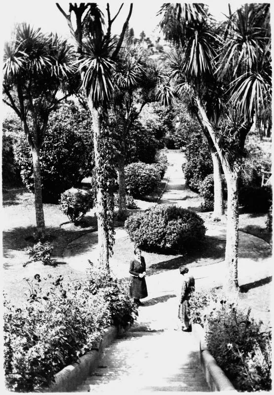 Innes house - front garden - Hamilton