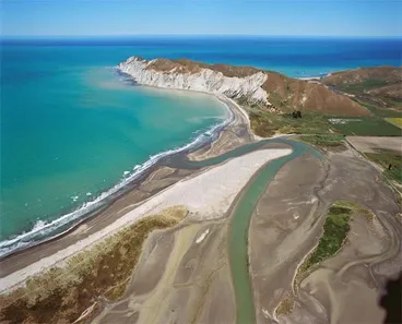 Image: Te Kurī-a-Pāoa