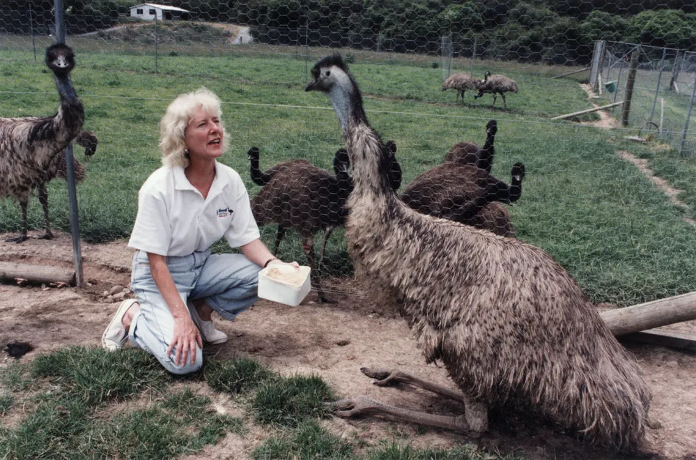 Bluebank Blueberry and Emu Farm, Akatarawa; NZ Small Farmers Association Wellington Branch convenor Sandy Cooper.