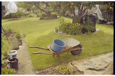 Image: New Zealand (Wairarapa)