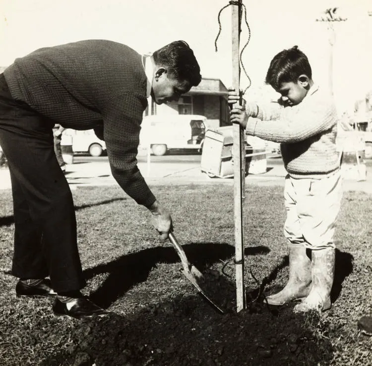 Planting trees, Ōtāhuhu, 1966