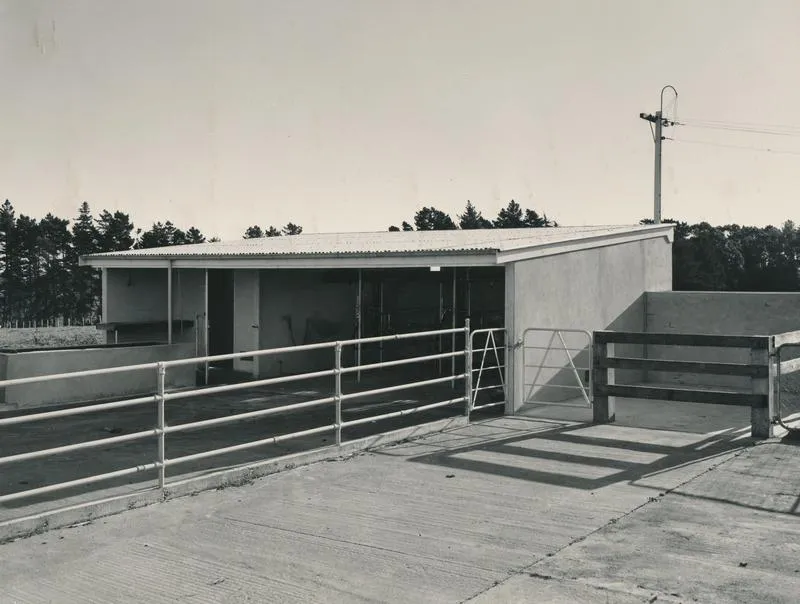 Vibrapac Blocks Ltd: 1962 small herringbone milking shed built with Vibrapac Blocks