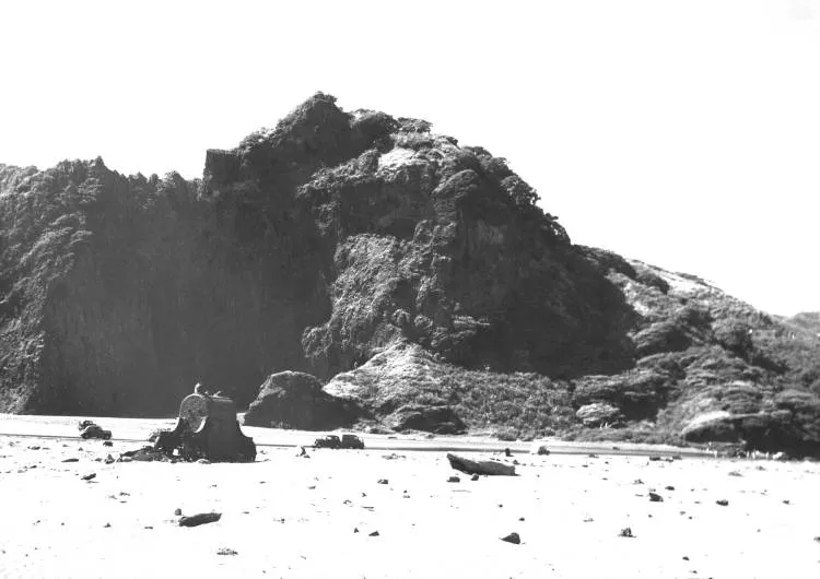 Old engine on beach at Karekare.
