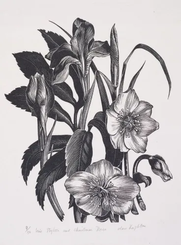 Image: Iris Stylosa and Christmas Roses