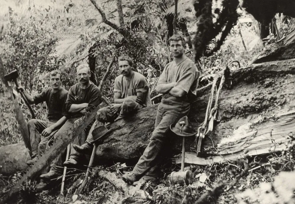 Timber industry; Gardner's Mill Akatarawa 1902; Alex Anderson, August Rhode, Bill Benge, Bert Symes.