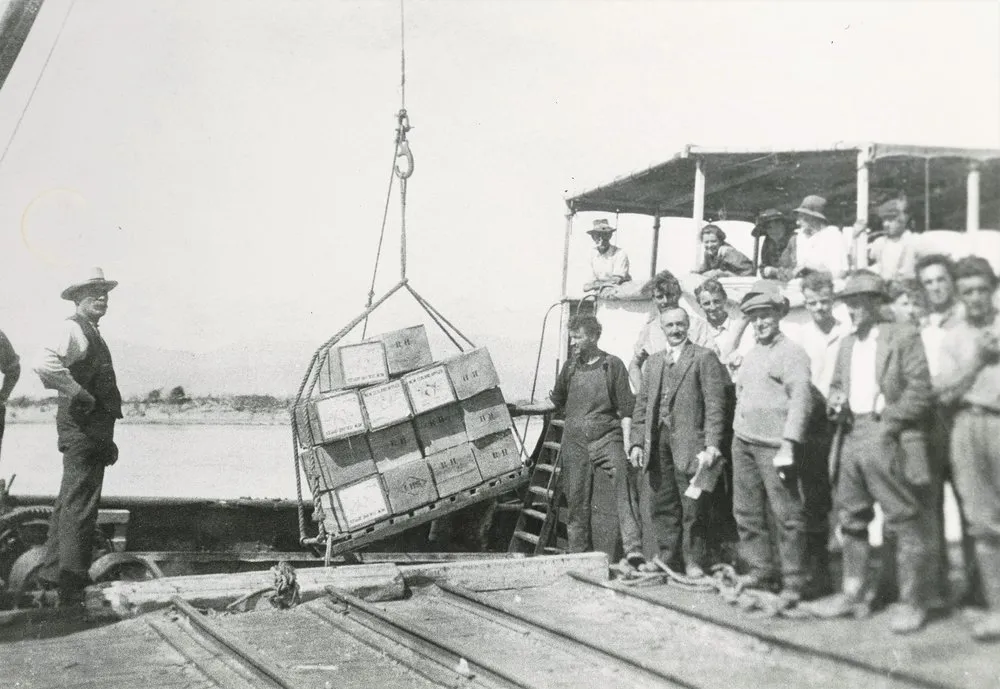 First shipment of export apples from Māpua, 1919