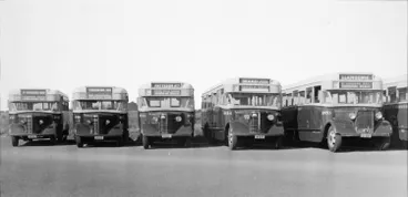 Image: Sightseeing and school buses