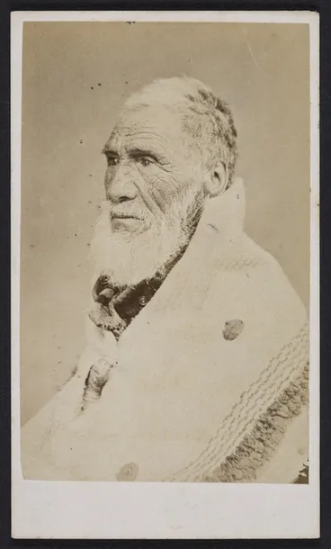 Image: Webster, Hartley (Auckland) fl 1852-1900 :Portrait of Eruera Maihi Patuone d 1872