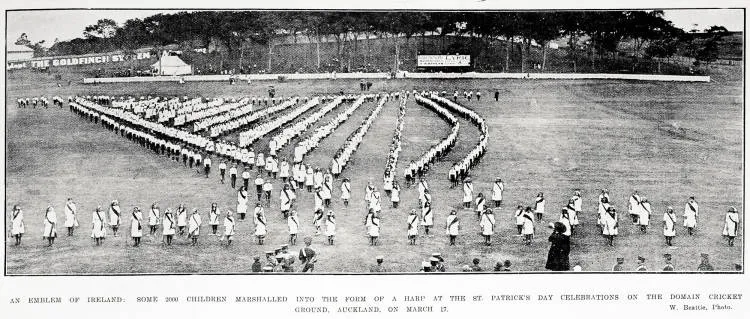 An emblem of Ireland