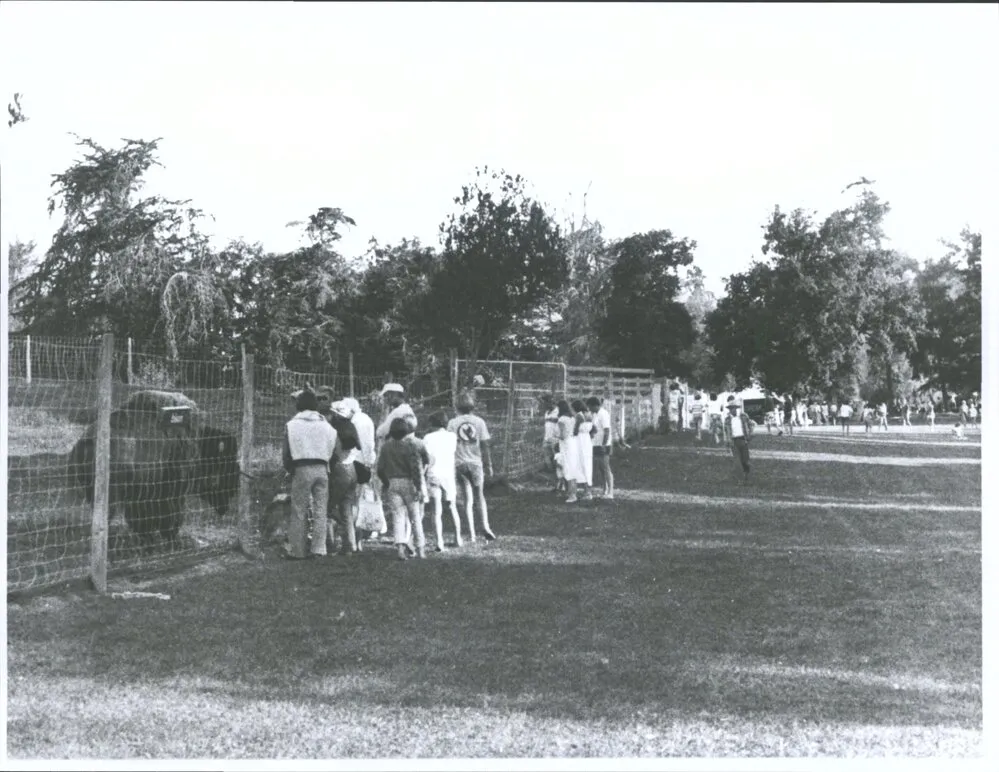 Hadlow Game Park