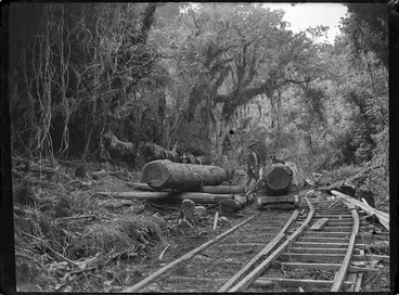 Image: Man transporting logs with horses and railway in the Akatarawa Bush, Hutt Valley