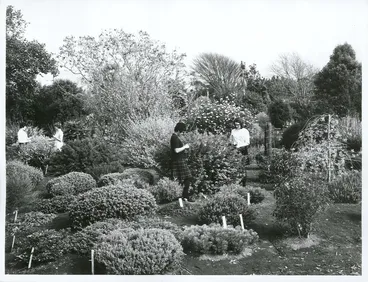 Image: Agriculture - Floriculture