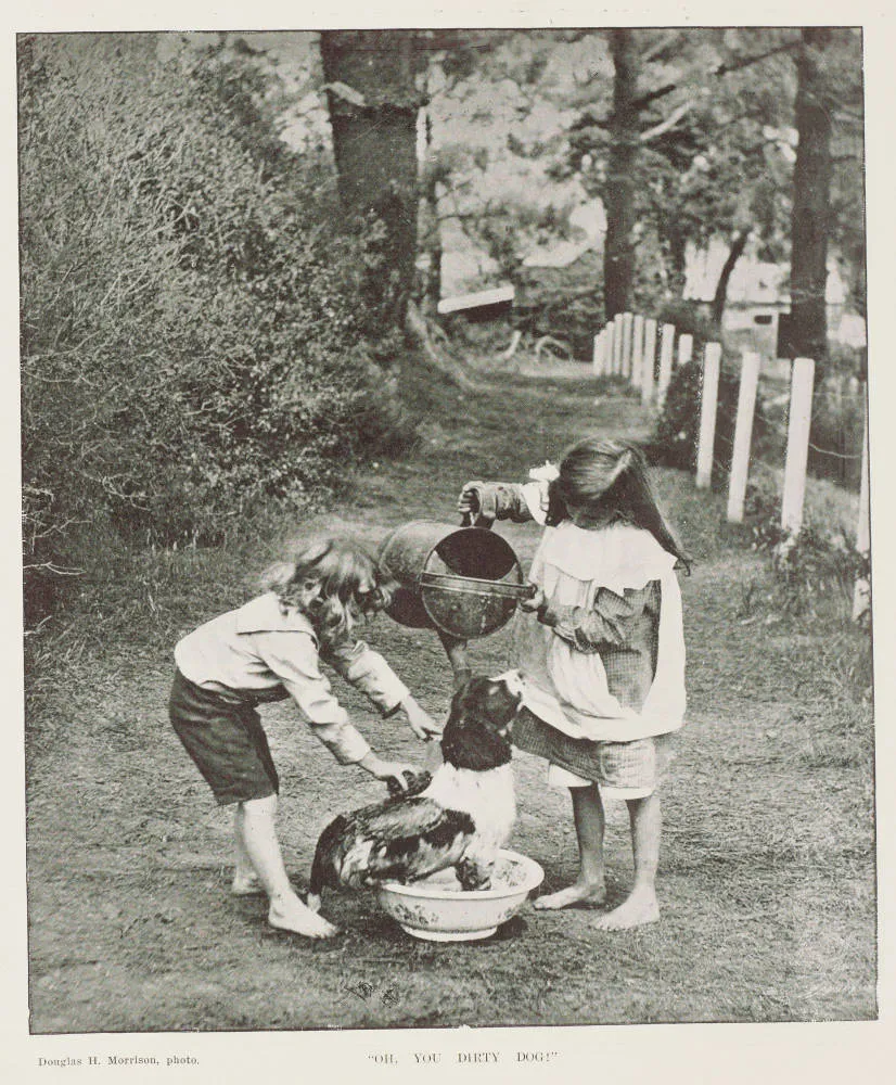 'Oh, you dirty dog!'