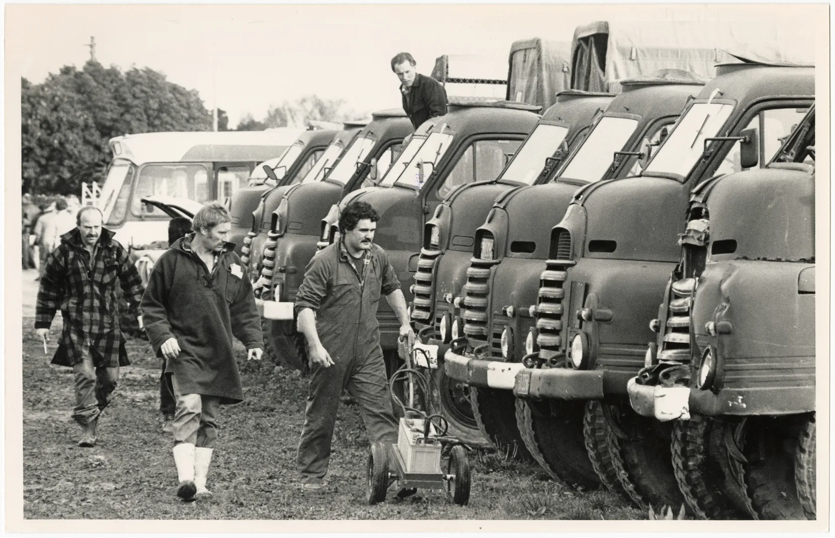 Government surplus stores and Customs-seized goods auction