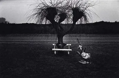 Untitled (Pines Beach, Kaiapoi) 1977
