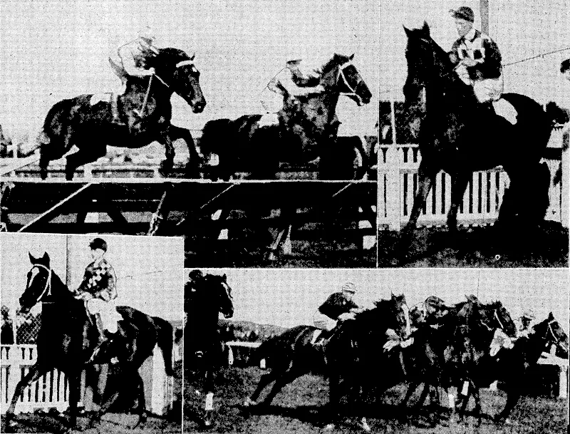 Crown;StudiosPhoto. "EVERY SEA;HATH ITS fEAßlS"—Baby Witts,; one, of: the,most popular of the juvenile;performers at the recent'■■ Wellington Competitions. She •■ is shown' here in. the character dancing class, under• nine, tvhichlsheivon.'. She also won the operatic dancing for children of the same age, making:her the. winner .'■■■'.■ of the;gold;medal*for the combined classes. ■ ' ' "'•'-'■■ ■" "• •■• ' . . ■ ■ ,',.'•, :.-'".' ' . ' upon, ana General fßbto.1;, AFTER A; RECENTv JAPANESE TYPHOON.—Kyushu, the southern .extremity of Japan, was~recentlyf devastated by an -extremely? severe typhoon, which caused the loss of several thousand, lives. The phoio-'^ graplishows:the>re'mainsof a wharf at Nagasaki, wiih^ sunken- vessels and wreckage alongside.. '. :..,...-. .'■.,",■:.- . : 'I'- H. Whetton: (WangaauO/Piiolo. RAGES AT WANGANUI.—Top left, taking .the' jumps "in:- the first round of the Okeliu'Hurdles,, ivon by Avro, al the Wanganui Jockey. Club's [Meeting yesterday. Top right, Cylinder (Hector Gray) returning to scale after winning the Wanganui Guineas. Bottom Jeff, > : Count' Palatine (S. Gerrand), an outsider,' entering'the- saddling paddock after ivinning ■ the; Marangai Handicap. Bottom right," start '■' ■■;■■■ ■ • of the Wanganui Guineas. .. ' ' ' (Evening Post, 12 September 1930)