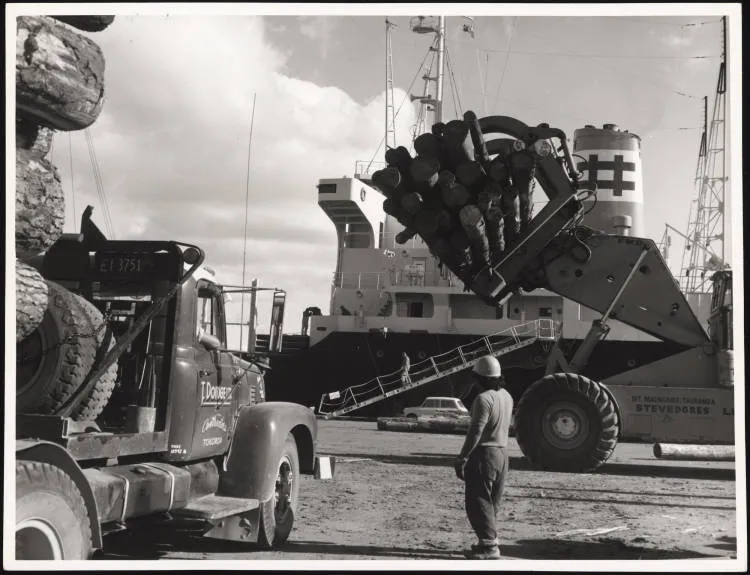 Mount Maunganui wharf