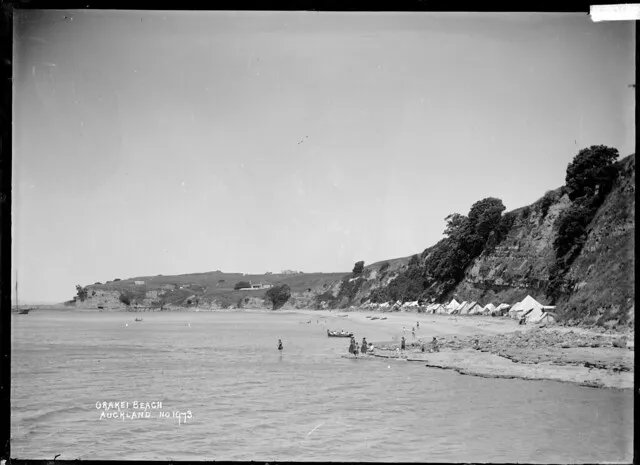 View of Orakei Beach, Auckland