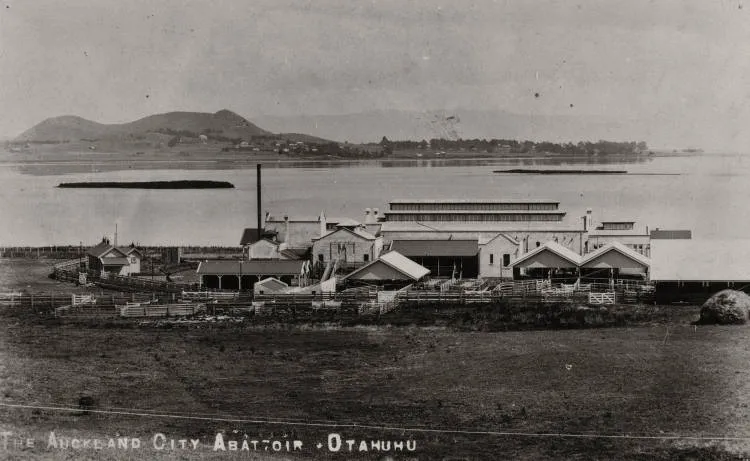 Auckland City Abattoir, Ōtāhuhu, 1910s