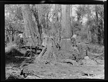 Image: Group felling trees, including [Edgar and Owen Williams?] at the second tree on the right, Kakahi, Ruapehu District