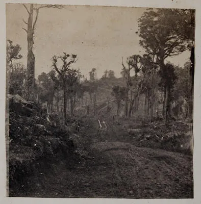 Razorback Pass on the Gt. South Road, New Zealand