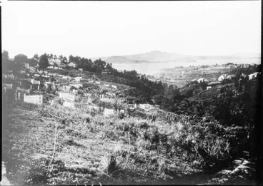 Image: Grafton Gully and the Waitematā Harbour, 1868