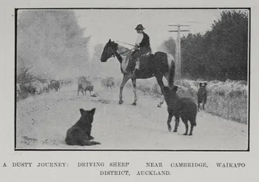 A Dusty Journey Image: A Dusty Journey