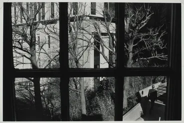 Image: Untitled, no. 6. From the portfolio: Foliage