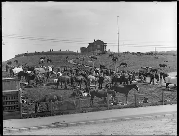 Image: Vicinity of Alexandra Barracks, Wellington