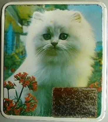 Image: Container Griffin's Assorted biscuits