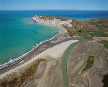 Image: Young Nicks Head