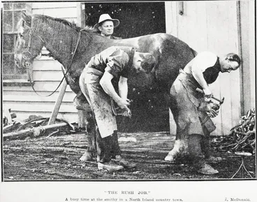 Image: 'The Rush Job'