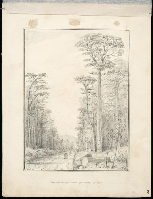Swainson, William, 1789-1855 :Road thro' the Birch Forest, Upper Hutt (in Oct 1847. 28 Oct '47 / W Swainson, 1848.