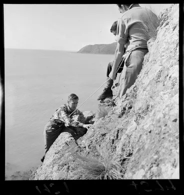 Image: Rock climbing at Titahi Bay, Wellington
