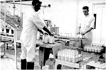 Image: A most up-to-date plant for cleaning, filling, and bottling milk was recently brought into use al the Municipal Milk Depot in Tory Street. After passing through the processes explained in the top picture the filled bottles are crated and ready for delivery, as seen in the other picture. (Evening Post, 18 May 1939)