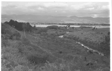Lake Horowhenua & Hokio Stream, 1977 Image: Lake Horowhenua & Hokio Stream, 1977
