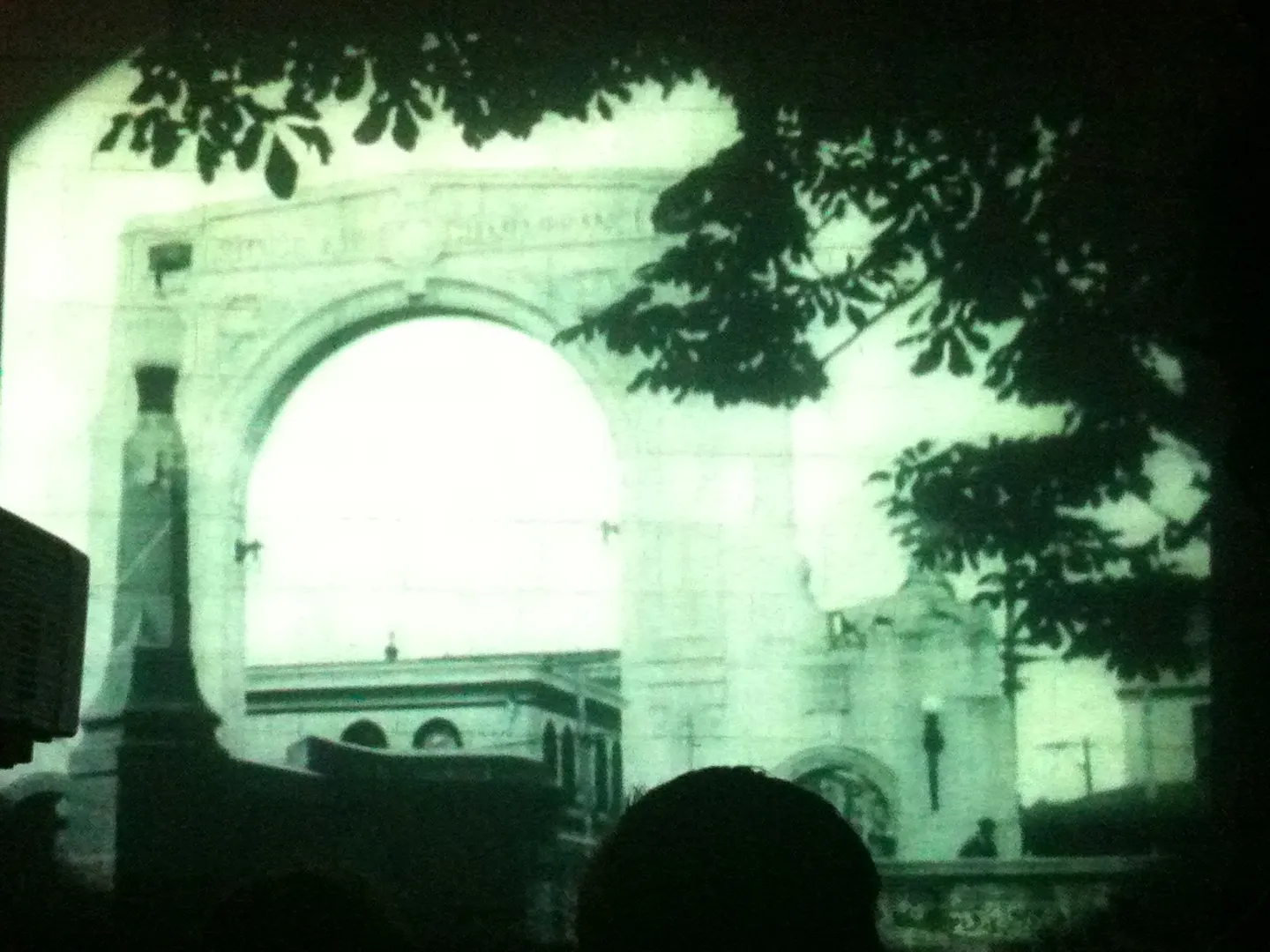 Gap filler a daughter of Christchurch 4