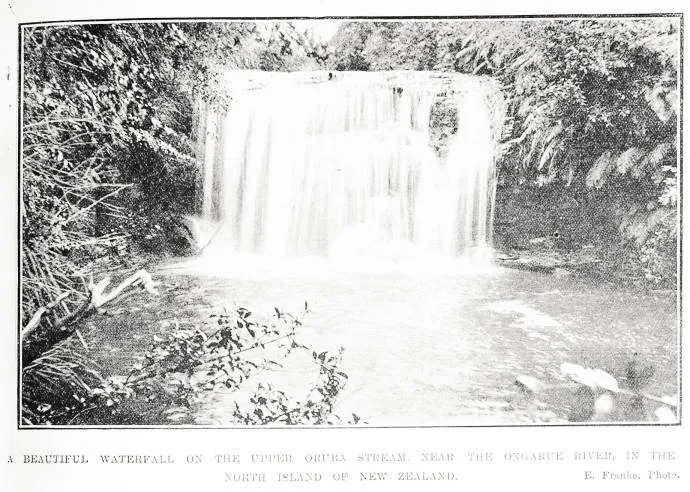 A beautiful waterfall on the Upper Orura Stream. near the Ongarue River, in the North Island of New Zealand