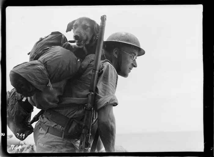 World War II soldier with kit and dog during an amphibious training in the Pacific