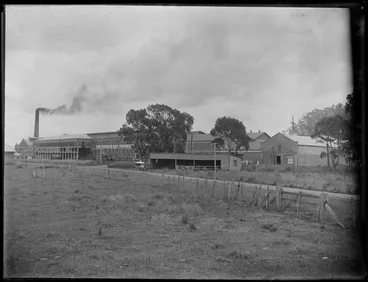 Image: View of The Hawke's Bay Farmer's Freezing Works, Whakatu, showing the freezing works buildings with road and field in front, Hastings, Hawke's Bay District
