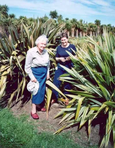 Image: A flax collector