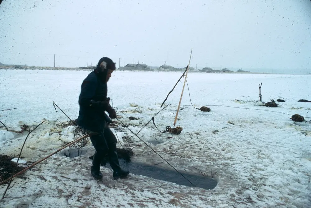 Japan Series: Hokkaido