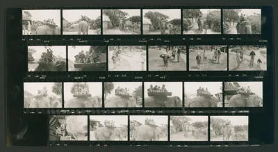 [Various, children riding an elephant, family at a zoo]