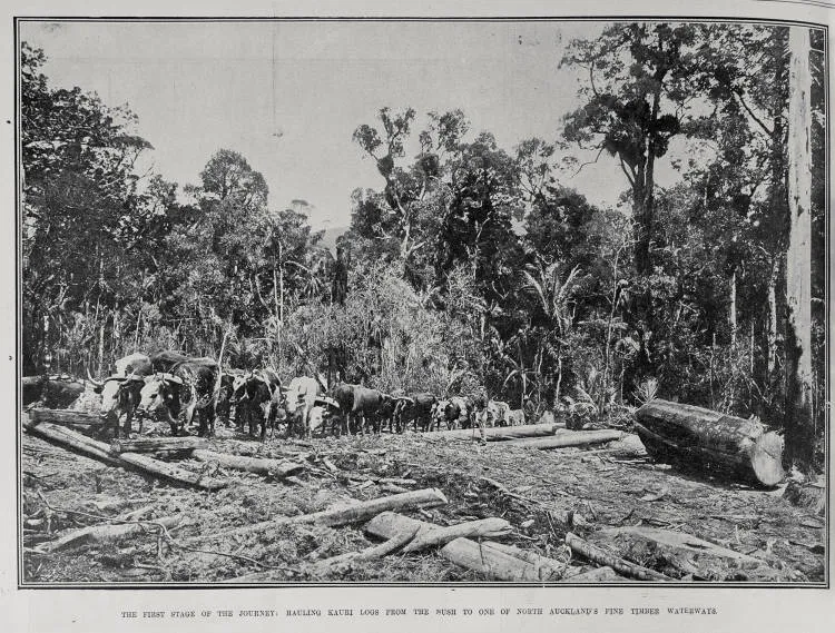 The First Stage Of The Journey