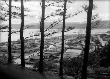 Image: Looking through pine trees, over the suburb of Seatoun, Wellington, 1938-9