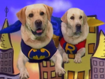 Tux Wonder Dogs - Series Six, Episode Six