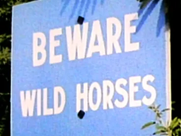 Image: Amazing New Zealand!