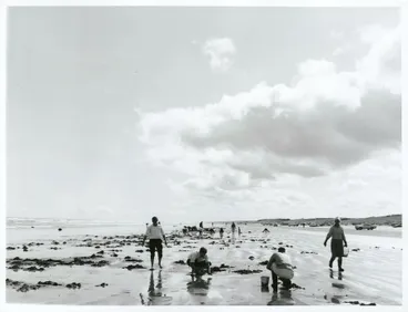 Image: Fishing - Toheroas