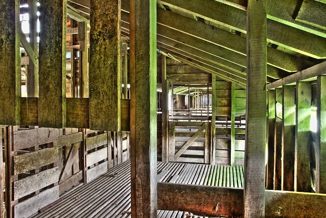 Abandoned Wool Shed, Argyll East, Hawkes Bay, New Zealand