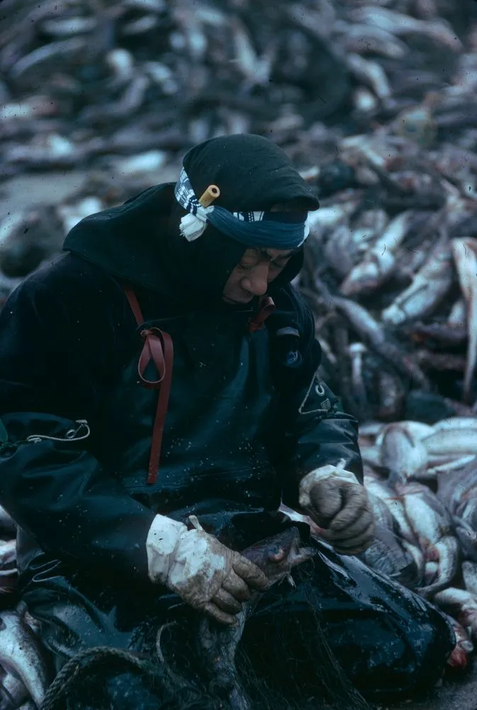 Japan series: fishermen